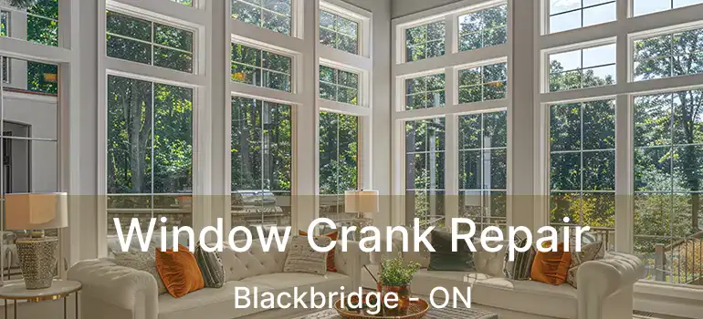 Window Crank Repair Blackbridge - ON