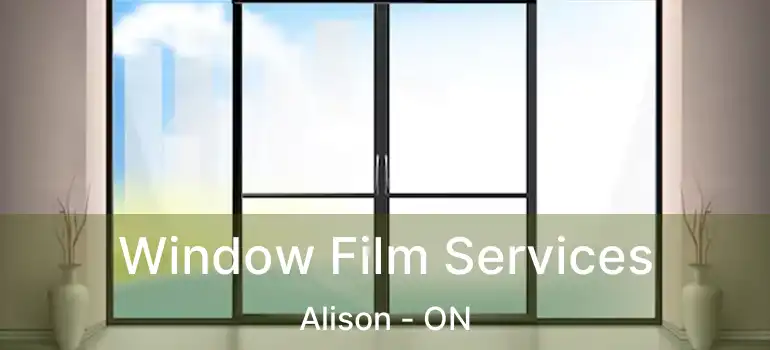  Window Film Services Alison - ON