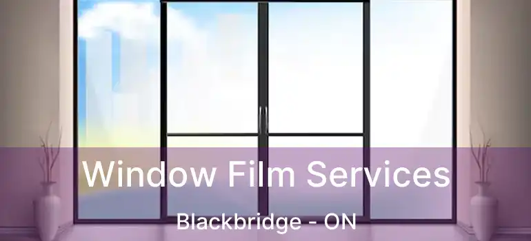 Window Film Services Blackbridge - ON