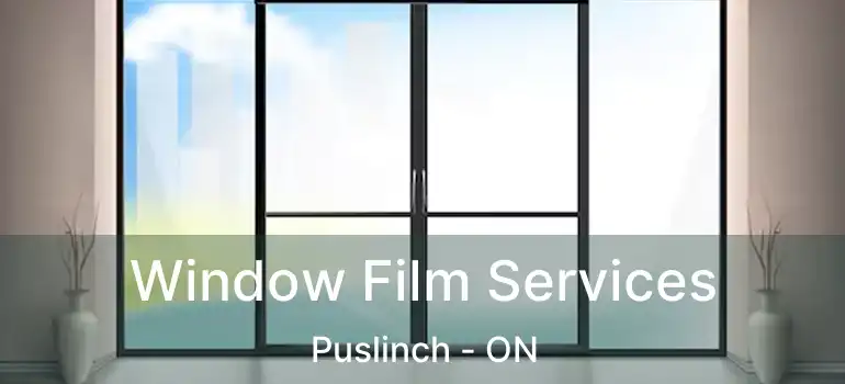  Window Film Services Puslinch - ON