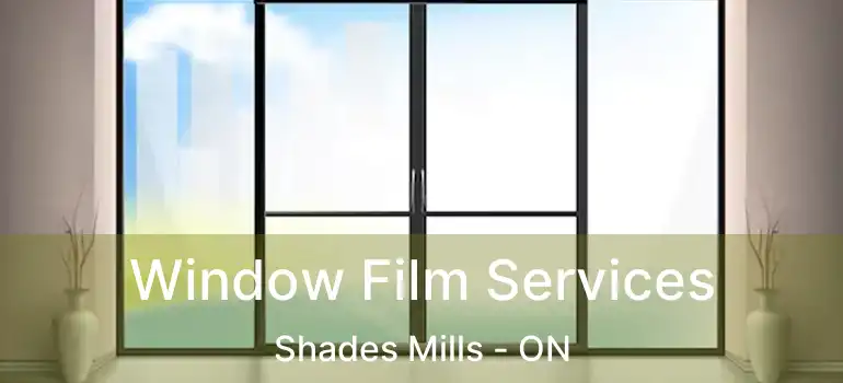  Window Film Services Shades Mills - ON