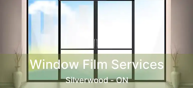  Window Film Services Silverwood - ON