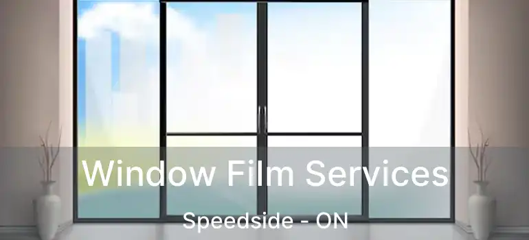  Window Film Services Speedside - ON