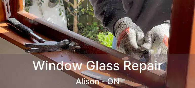  Window Glass Repair Alison - ON