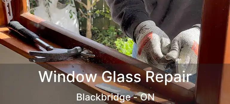  Window Glass Repair Blackbridge - ON