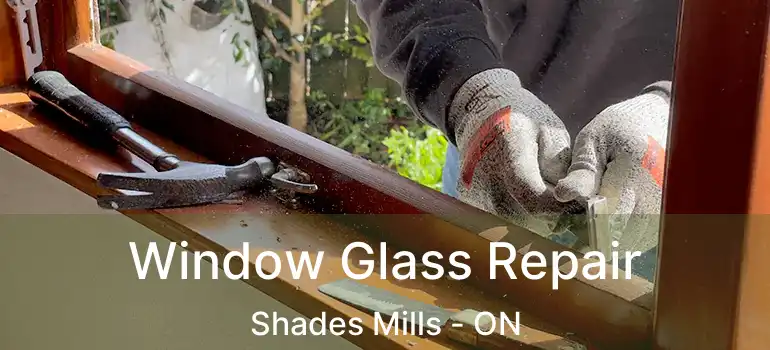  Window Glass Repair Shades Mills - ON