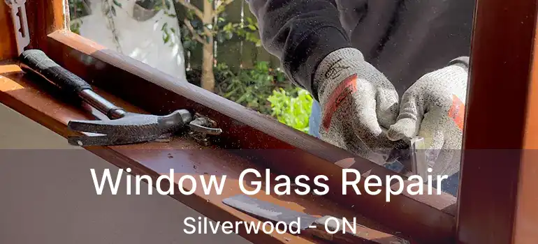  Window Glass Repair Silverwood - ON