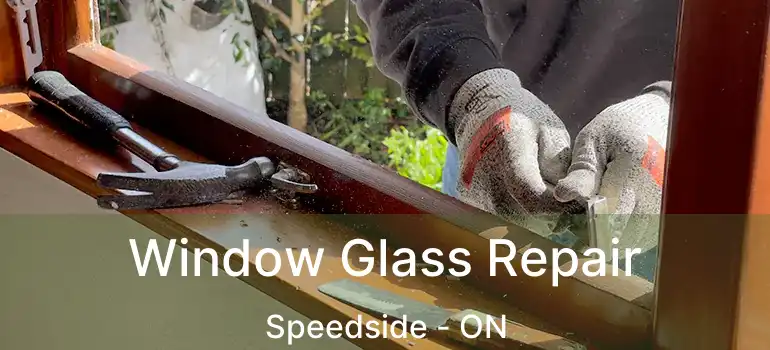  Window Glass Repair Speedside - ON