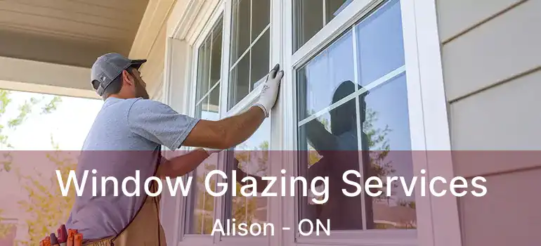  Window Glazing Services Alison - ON