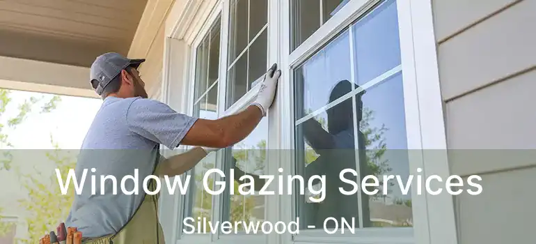  Window Glazing Services Silverwood - ON