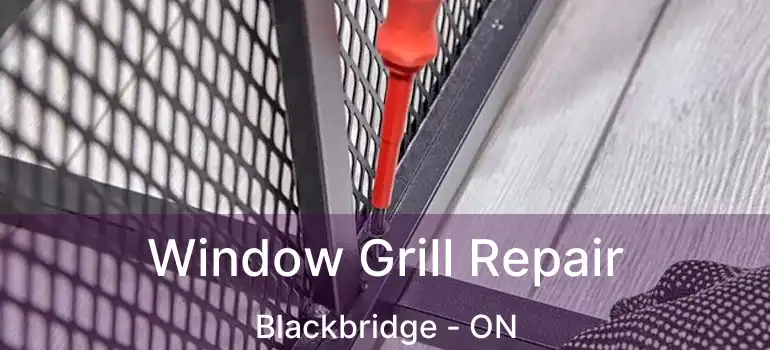  Window Grill Repair Blackbridge - ON