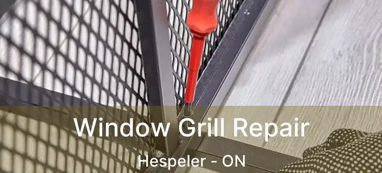  Window Grill Repair Hespeler - ON
