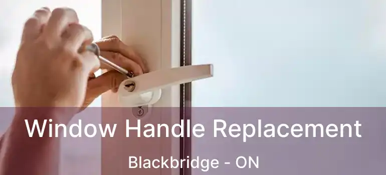  Window Handle Replacement Blackbridge - ON
