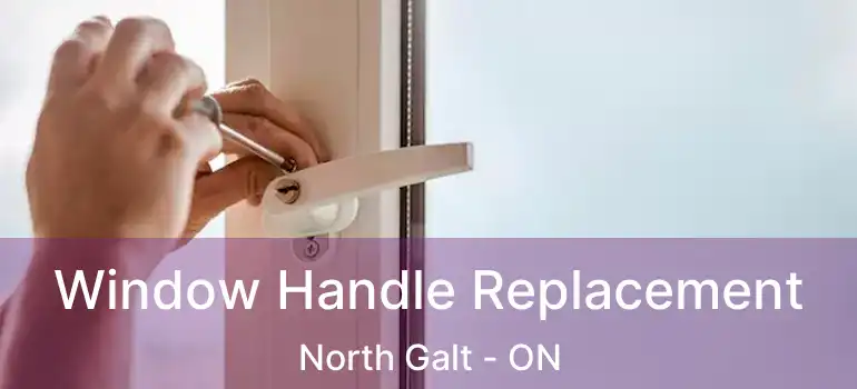  Window Handle Replacement North Galt - ON