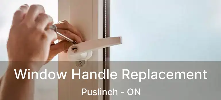  Window Handle Replacement Puslinch - ON
