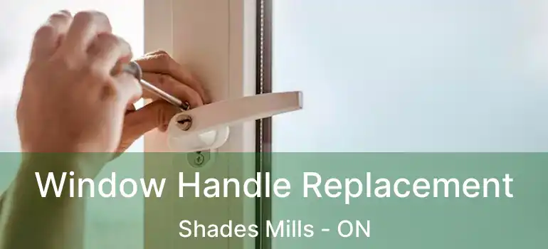  Window Handle Replacement Shades Mills - ON