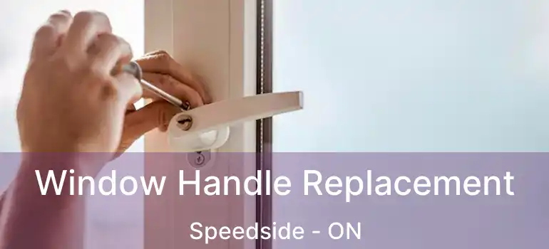  Window Handle Replacement Speedside - ON