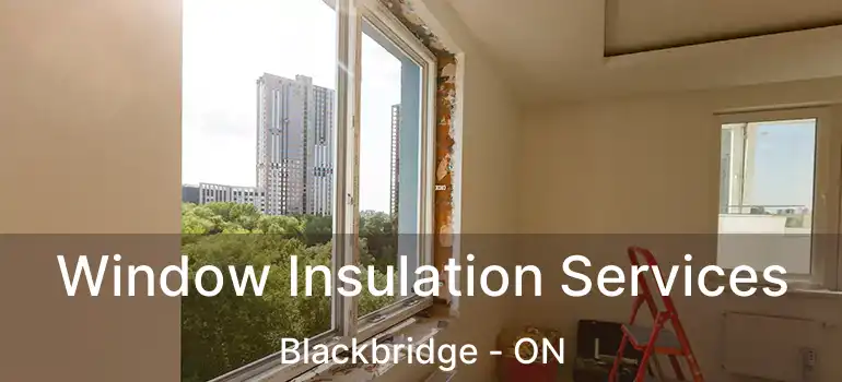  Window Insulation Services Blackbridge - ON