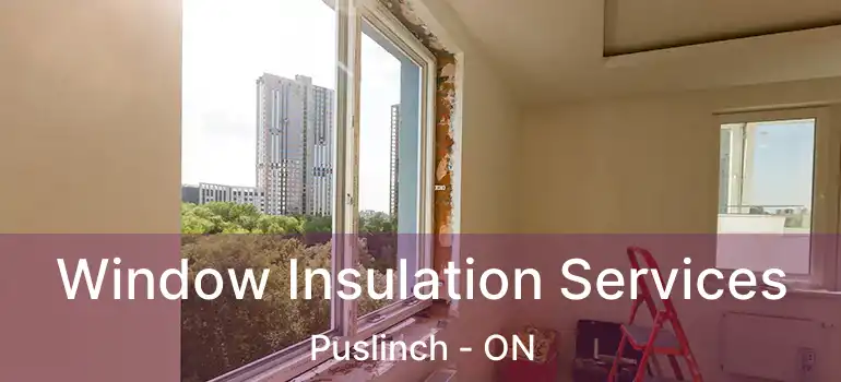  Window Insulation Services Puslinch - ON