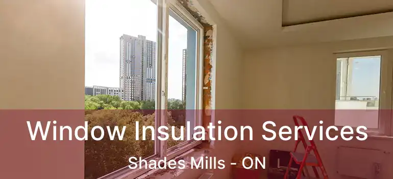  Window Insulation Services Shades Mills - ON