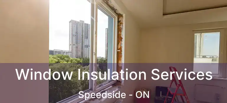  Window Insulation Services Speedside - ON