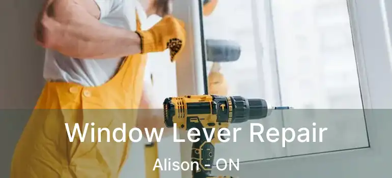  Window Lever Repair Alison - ON