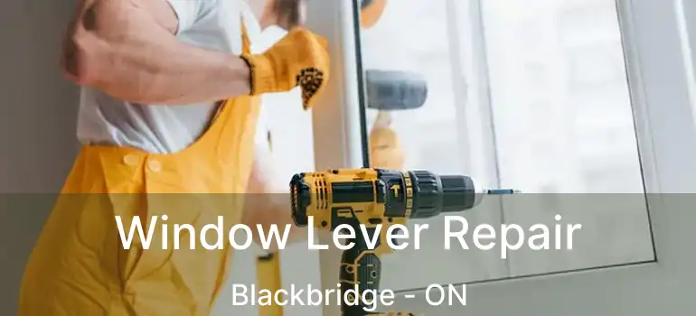  Window Lever Repair Blackbridge - ON