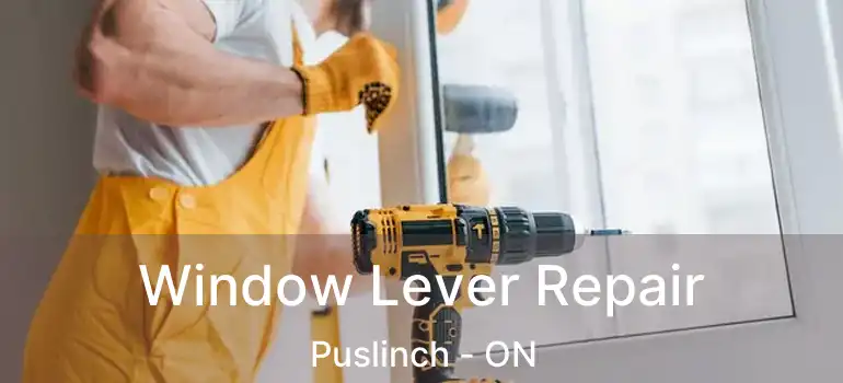  Window Lever Repair Puslinch - ON