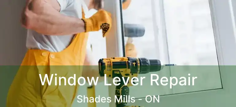 Window Lever Repair Shades Mills - ON