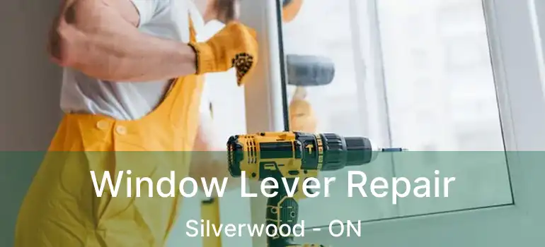  Window Lever Repair Silverwood - ON