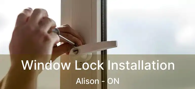  Window Lock Installation Alison - ON