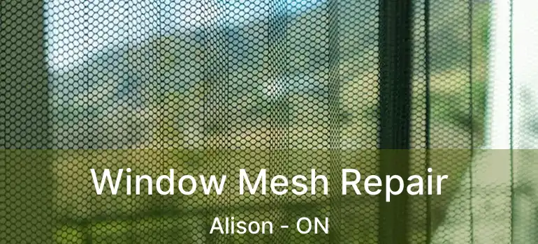  Window Mesh Repair Alison - ON