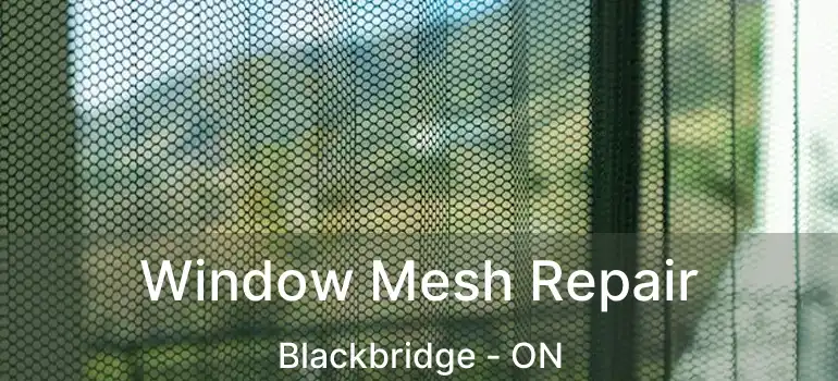  Window Mesh Repair Blackbridge - ON