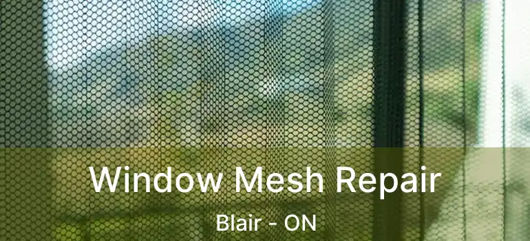  Window Mesh Repair Blair - ON