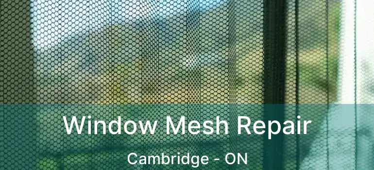  Window Mesh Repair Cambridge - ON
