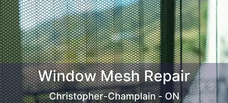  Window Mesh Repair Christopher-Champlain - ON