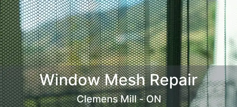  Window Mesh Repair Clemens Mill - ON
