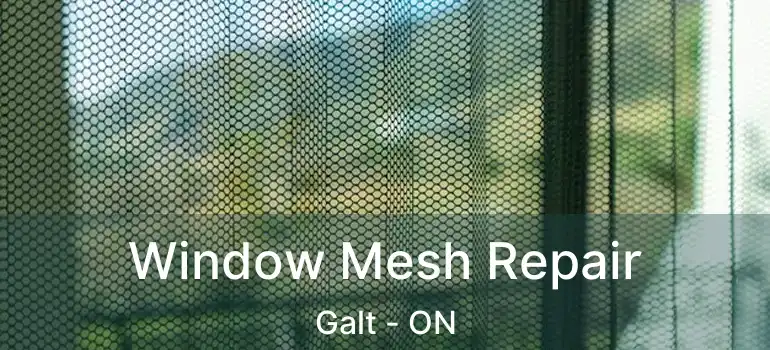 Window Mesh Repair Galt - ON