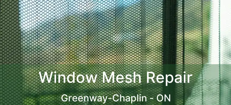  Window Mesh Repair Greenway-Chaplin - ON