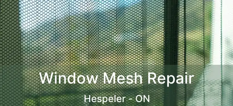  Window Mesh Repair Hespeler - ON