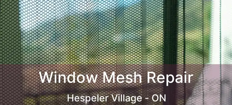 Window Mesh Repair Hespeler Village - ON