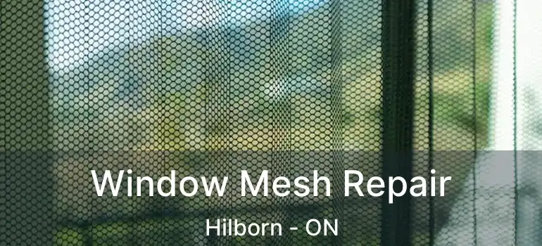  Window Mesh Repair Hilborn - ON