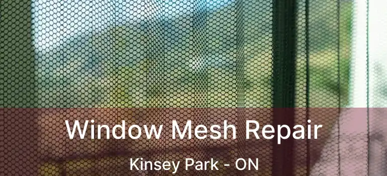  Window Mesh Repair Kinsey Park - ON