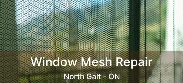  Window Mesh Repair North Galt - ON