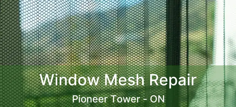  Window Mesh Repair Pioneer Tower - ON