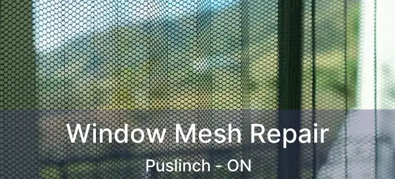  Window Mesh Repair Puslinch - ON