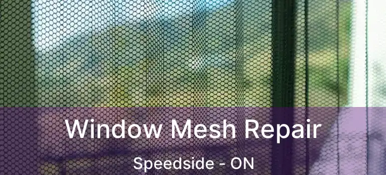  Window Mesh Repair Speedside - ON