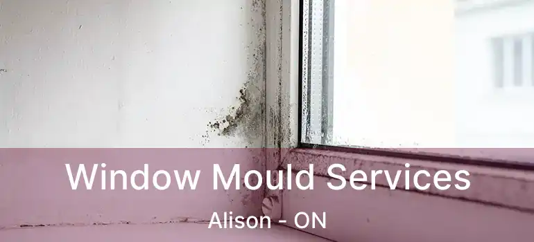  Window Mould Services Alison - ON