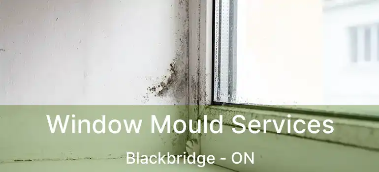  Window Mould Services Blackbridge - ON