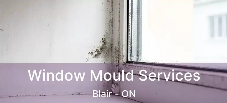  Window Mould Services Blair - ON